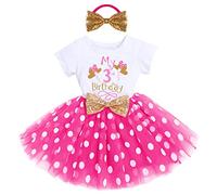 Bebé Niñas 1er/2do/3er Cumpleaños Traje Minnie Princesa Vestido de Manga Corta Mameluco/Camiseta+Tutú de Tul de Lunares+Diadema 3 Piezas de Fiesta de Cumpleaños Bola Rosa Caliente-3rd 3 Años