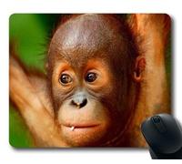 Bebé Orangután simio Mono animalesAlmohadilla para ratón personalizadaRectangle Mouse Pad Gaming Mouse Mat