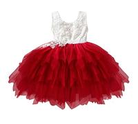 Bebé primer cumpleaños princesa vestido de encaje de tul capa tutú faldas vestido floral para niñas leggings con, rojo, 6-12 meses