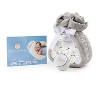 BebeDeParis | Tarta de Pañales para Recién Nacida + Manta Gris Bordada con nombre + 15 pañales Moltex Premium Ecológicos Talla 2 (3-6 Meses) + Chupete Personalizado (Unisex, Set con Bonus "El Viaje")