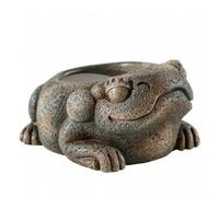 Exo Terra Cuenco de Agua Rana Azteca - 1 ud.