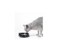 Bebedero Savic Whisker Water - Preto