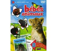 Bebes Animaux