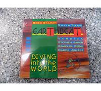 Bebo Baldan & David Torn - Diving Into the World