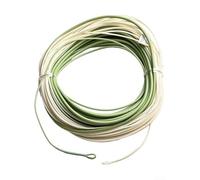 Bebykilemi Línea de pesca con mosca para agua salada de 100 pies, línea principal de nailon flotante WF6F WF7F WF8F WF9F WF10F Línea de pesca de mar de cabeza corta para pesca con mosca en agua salada