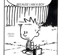 Because I am a boy: Discovering the Journey of Identity and Growth: New edition of 2025 (The Boy Chronicles: Adventures of Growth and Discovery)