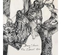 Becca Stevens – Becca Stevens & The Secret Trio – CD – Importación USA – Membran