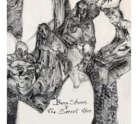 Becca Stevens - Becca Stevens & The Secret Trio