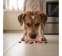 Beco Juguete para Perros - Hueso masticable para Perros con Agujero para golosinas, Juguete de enriquecimiento para Perros, Goma Natural, Rosa