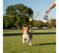 Beco Juguete para Perros - Bola de Goma Natural en una Cuerda de Juguete para Perros - Amarillo