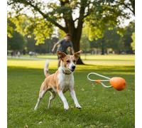 Beco Juguete para Perros - Bola de Goma Natural en una Cuerda Juguete para Perros, Forma de Huevo, Color Naranja