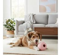 BECO Pelota Portagolosinas de Goma Rosa para perros