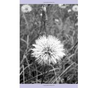 Becoming More Than The Wreckage: A Memoir