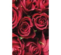 Bed Of Roses Journal