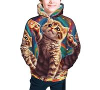 Bedbliss Sudaderas con capucha para niños y niñas con bolsillo, Galaxy Pizza Cat 11, 10-12 años