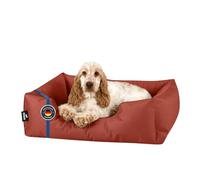 BedDog Zara Cama para Perros Pequeños M, Colchón, Colchoneta Cómoda, Terciopelo de Microfibra y Cordura, Resistente y Suave, Lavable