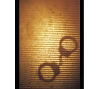 BEDLAM AND LOCKED CELLS: Selected Poems