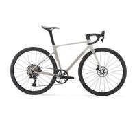 BEDOIN Bicicleta De Carretera Fibra De Carbono, Bicicleta De Carretera Individual para Hombres Y Mujeres con Juego De Ruedas De Aleación De Aluminio, Bicicleta De Carreras Ligera 163cm-172cm/12speed