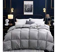 BEDSETS Extragrande Nórdica - 13.5 TOG Lujosa Pluma De Ganso Y Abajo Edredón, 100% Algodón Shell, Anti-ácaros del Polvo Y De La Pluma A Prueba De Tela Anti-alergeno (Gris,220x240cm3KG)
