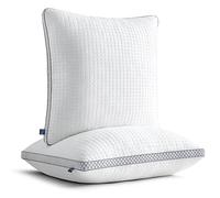 BedStory Almohada de 50 x 50, relleno de fibra ajustable, cojín de hotel con cremallera, juego de 2 unidades de 600 g x 2 microfibra, cojín cervical lavable para alérgicos, dormir de lado y de espalda