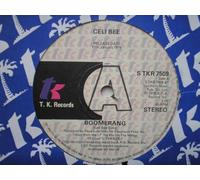 Bee, Celi & Buzzy Bunch Boomerang 7" TK STKR7509 EX 1978 demo
