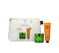 Bee radiant gel-crema signos de envejecimiento y antifatiga estuche 2
