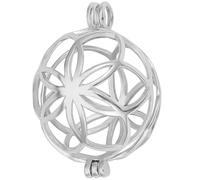 Beebeecraft 1 Caja de 1 Piezas de Dijes de Jaula de Plata Esterlina Platino Perla Jaula de Cuentas En Blanco Bola Colgante Hueco Ajuste para Joyería Bricolaje Arte Collar