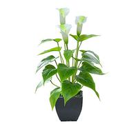 Beebel Flor Artificial Cala Lirio Artificial Maceta con Maceta Negra Flor Falsa Bonsai para el hogar, Oficina, Interior y Exterior Ocasiones decoración