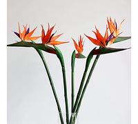 Beebel Flores Artificiales de Ave del paraíso, Plantas Verdes para Interiores y Exteriores, Guirnalda para el hogar, jardín, Oficina, terraza, decoración de Boda, 6 Unidades (Amarillo, Paquete de 6)