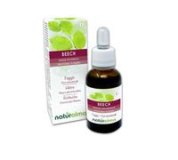 Beech o Haya (Fagus sylvatica) Remedios florales Naturalma - Gotas 30 ml - Extracto líquido sin alcohol - Esencias florales - Vegano y libre de alcohol