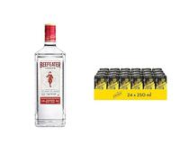 Beefeater 1e + Schweppes Tónica Zero Sin Azúcar pack 24 x 25 cl