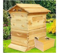 Beehive - Kit de colmena automático de madera con 7 panales y marco de calidad alimentaria sin BPA para principiantes y apicultores profesionales