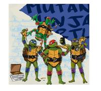 BeenSmile, Servilletas Cumpleaños TORTUGAS NINJA, Servilletas de Papel, Artículos de Fiesta Temática, Celebraciones y Cumpleaños Infantiles, 20 Servilletas 33 CM