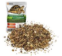 BEESI Mezcla de semillas de tortugas de 100 g para plantas forrajeras, incluye instrucciones de siembra, hierbas