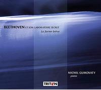 Beethoven et son laboratoire secret : La forme brève