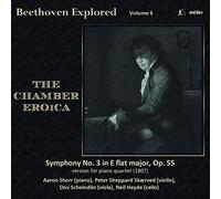 Beethoven, L. Van - BEETHOVEN EXPLORED, VOL. 6