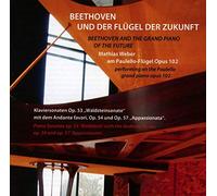 Beethoven & le piano à queue du futur / Mathias Weber