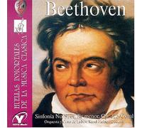 Beethoven - Sinfonia No 9 En Re Menor