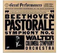 Beethoven - Symphony 6 " Pastorale "