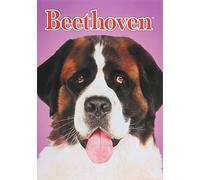 Beethoven [USA] [DVD]