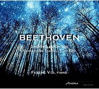 Beethoven Variations Diabelli opus 120, 6 bagatelles opus 126 by Ferenc Vizi (2014-08-12)