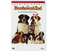 Beethoven's 2nd [USA] [DVD]