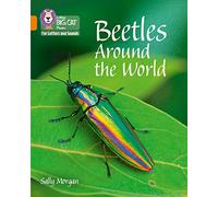 Beetles Around the World: Band 06/Orange (Collins Big Cat Phonics for Letters and Sounds)