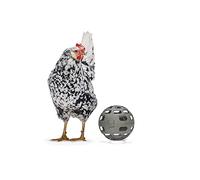 BEEZTEES BZ Huehner - Pelota para Aperitivos (15 cm), Color Gris
