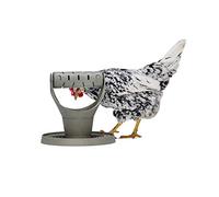 Beeztees BZ Huehner - Torre de Juegos y Aperitivos (30 x 30 x 30 cm), Color Gris