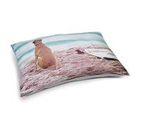 Beeztees K&Bz Bz Lounge Cushion Surfy 100X70 800 g