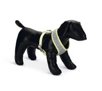 Beeztees K&Bz Bz Puppy Harness Bronda M Grey 200 g