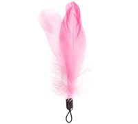 Beeztees, Plumas Para Caña De Gatito