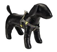Beeztees Spira - Arnés de Nailon para Perro (60 x 100 x 2,5 cm)