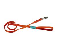 Beeztees Uni - Correa de Nailon para Perro, 120 x 2,5 cm, Color Naranja